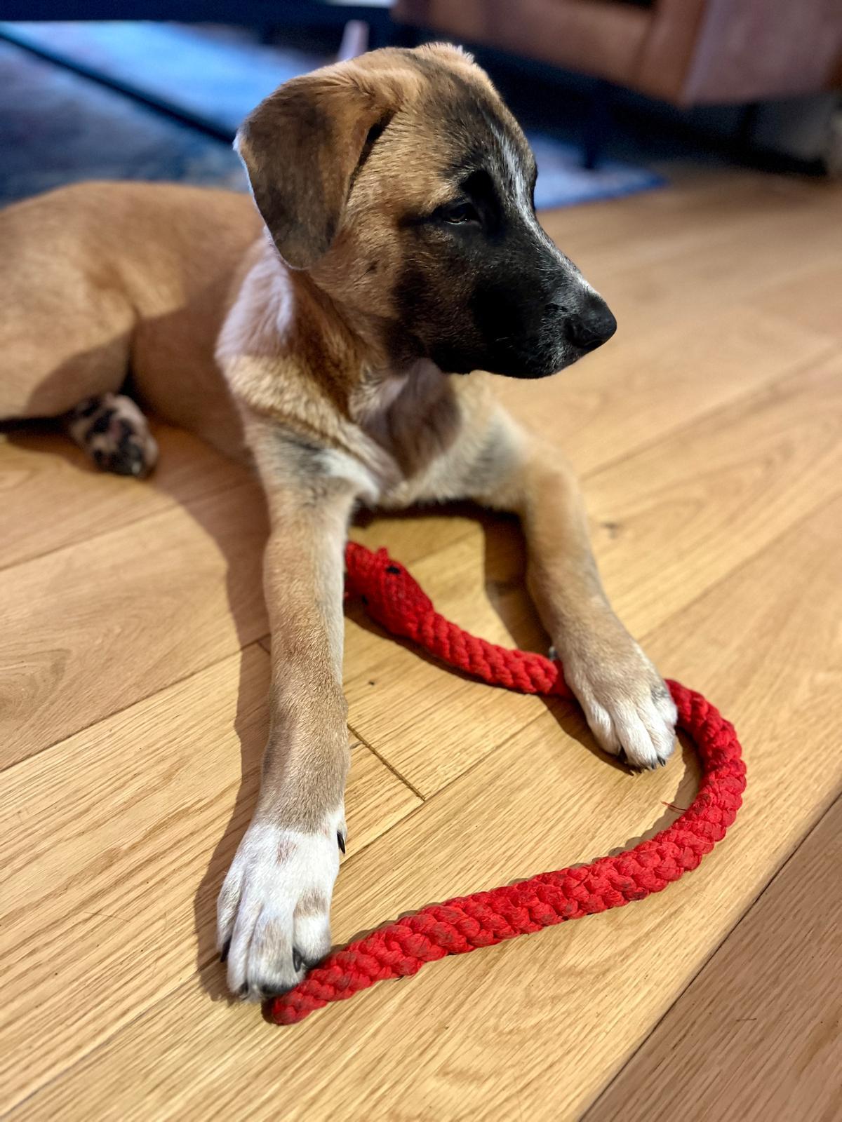 Whats App Image 2025 10 23 at 13 49 53